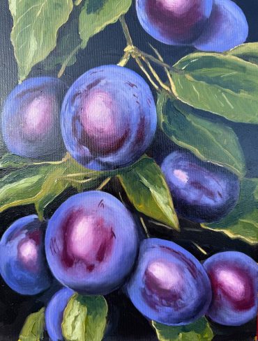 PLUMS