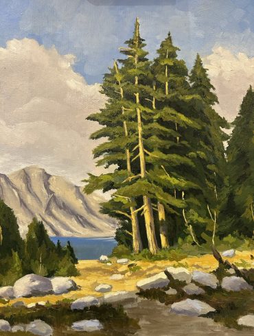 Pines on the Coast